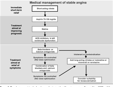 Figure 1 From The Patient With Chronic Ischemic Heart Disease Role Of