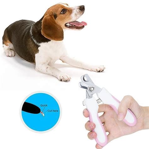 Coupe Griffes Professionnel Pour Chien Et Chat Rose Cdiscount Au