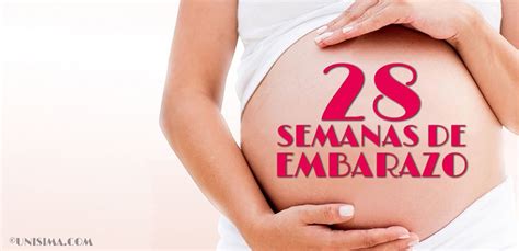 28 Semanas De Embarazo Gestación Completa Paso A Paso