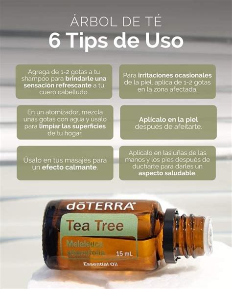 Serum Facial Natural Con Aceites Esenciales Artofit