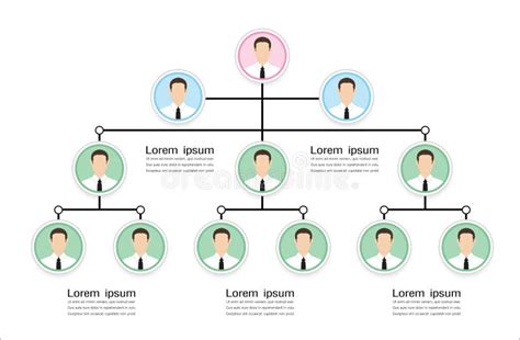 Organization Chart Stock Vector Illustration Of Corporate