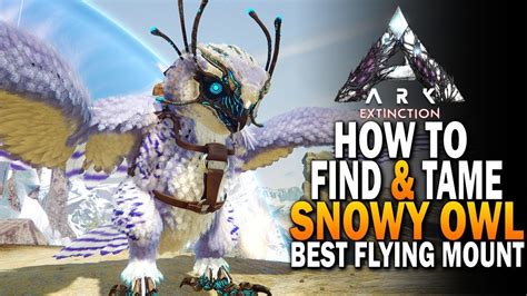 How To Tame A Snow Owl In Ark