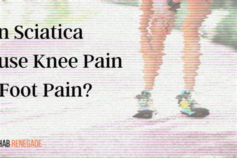 Can Sciatica Cause Knee Pain Or Foot Pain • Rehab Renegade