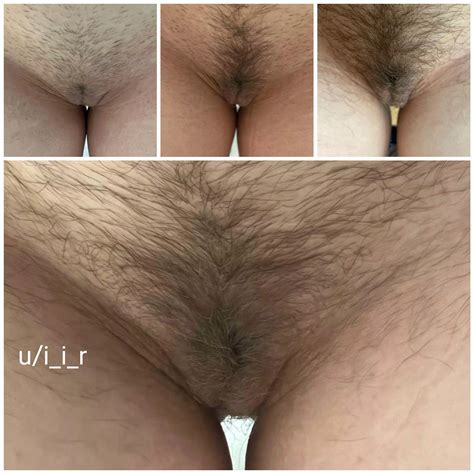 Growing Her Bush Nudes HairyPussy NUDE PICS ORG