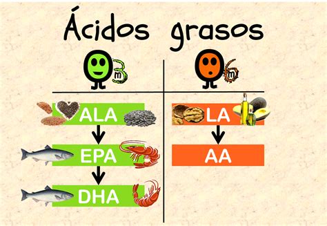 Acasano Omega 3 Vs Omega 6 ¿qué Significa