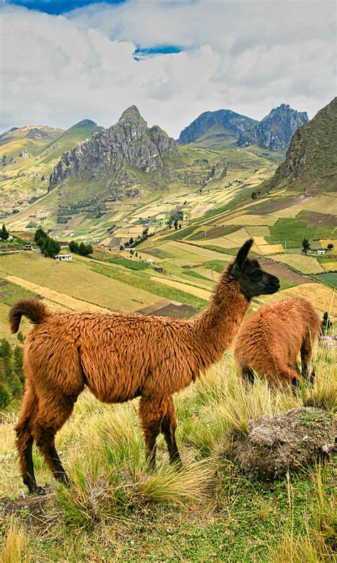 Ecuador - Travel Guide - Tripmasters Travel