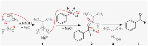 Open Pd Catalyzed Ch Functionalization Reactions For The Png Image