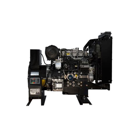 Perkins 20 kW Diesel Generator NSPS ...