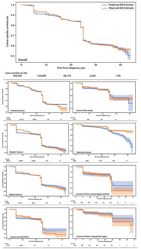 Cancers Free Full Text Artificial Intelligence Based Prognostic