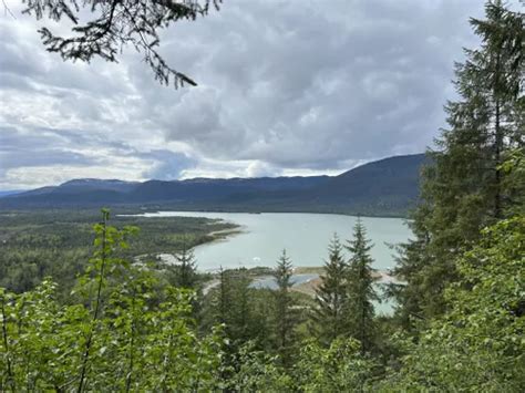 10 Best Trails and Hikes in Juneau | AllTrails