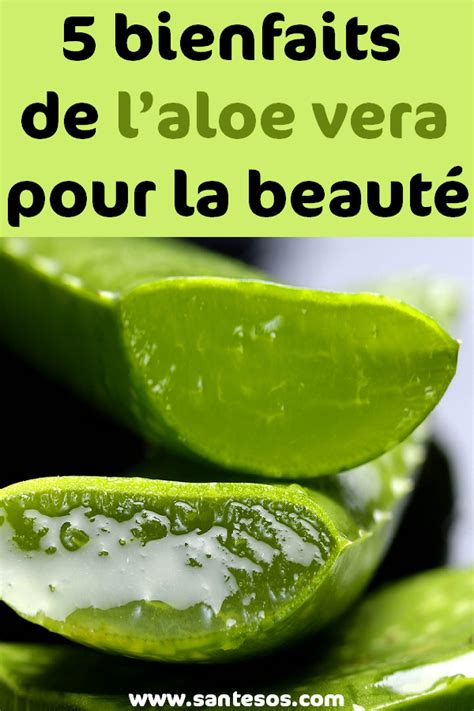 Bienfaits De Laloe Vera Pour La Beaut Aloe Vera Aloes Aloe Vera