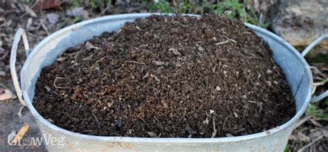 Bio Compost at ₹ 5/kg | Organic Compost Fertilizer in Pollachi | ID ...