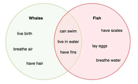 Flatworm Vs Roundworm Decoding The Venn Diagram