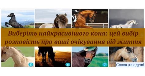 Виберіть найкрасивішого коня: цей вибір розповість про ваші очікування ...