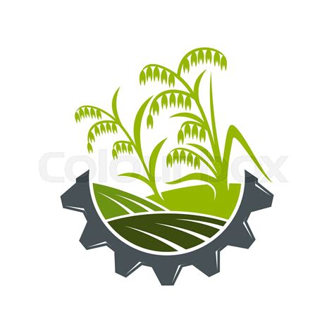 Agriculture Icon With Rice Field And Cog Wheel Stock Vector Colourbox