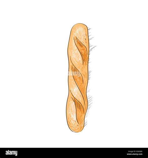 bread loaf baguette sketch color draw isolated over white background Stock Photo - Alamy