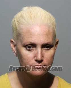 Recent Booking Mugshot For Michele Hinkel In Seminole County Florida