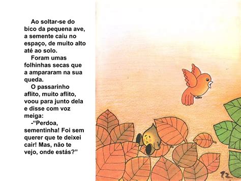 Livro A Viagem Da Sementinha PPT