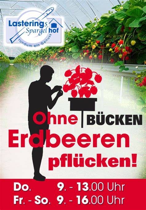 Erdbeeren Selber Pfl Cken Lasterings Spargelhof