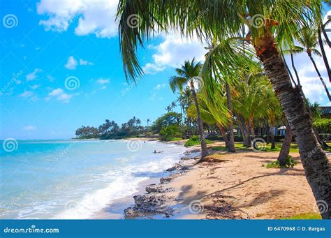 Relaxing At The Beach Royalty Free Stock Photos Image 6470968