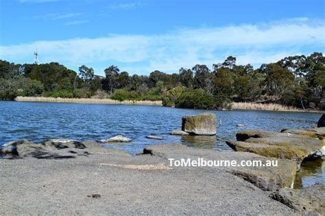 Newport Lakes Reserve Tomelbourne Au