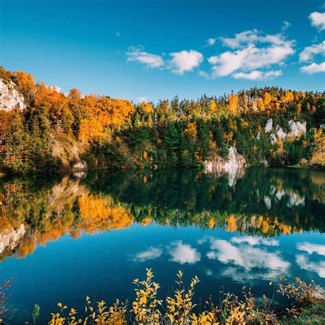 Autumn Lake Trees 2780x2780