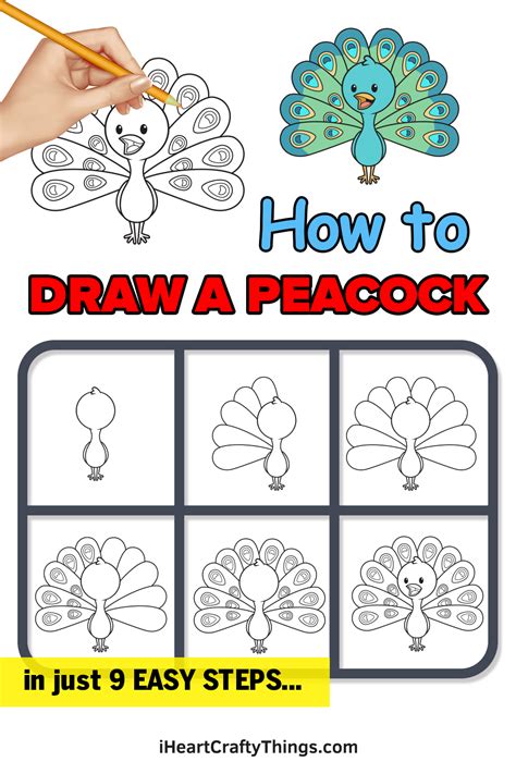 Peacock Drawing How To Draw A Peacock Step By Step