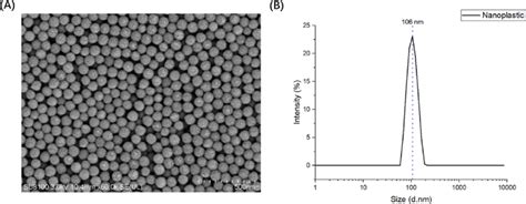 Characterization Of Polystyrene Nanoplastics A Morphological