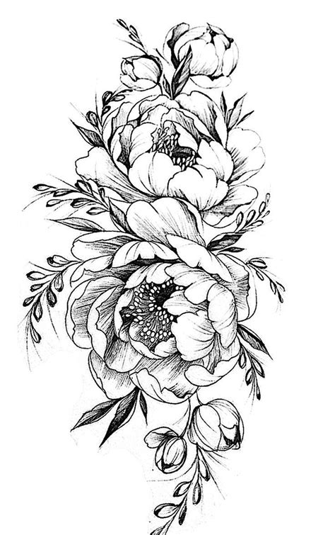 Peony Outline Drawing At Explore Collection Of