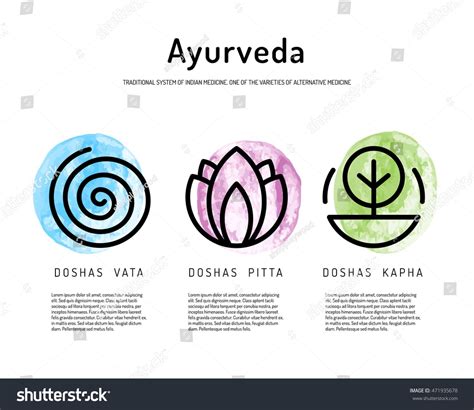 Ayurveda Vector Illustration Icon Vata Pitta Kapha Ayurveda Body