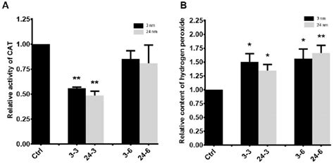 The Effect Of Tio2 Nps On Tm 4 Cell Apoptosis A Tunel Results