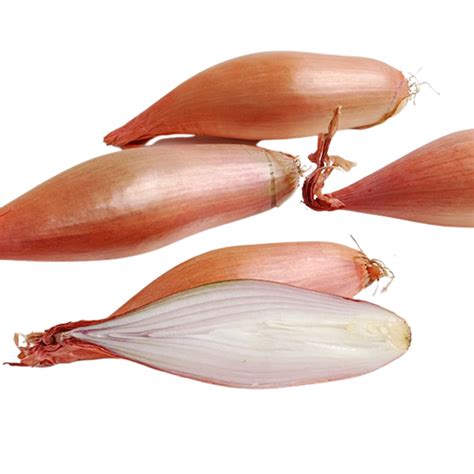 Biviano Direct Shallots Eschallots Banana Long French Shallot