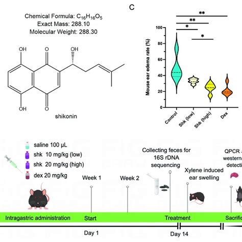 Shikonin Inhibits Xylene Induced Acute Ear Edema In Mice A The