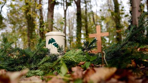 Bekommt Biberach Bald Einen Friedwald