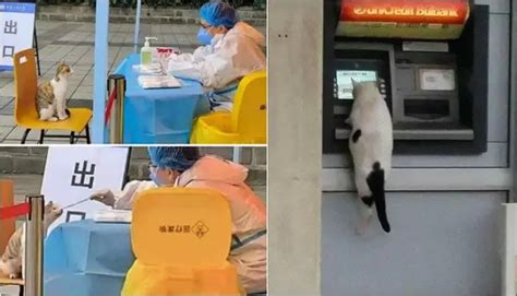 Viral Wanita Menikah Dengan Saudara Sepupunya Ini Curi Perhatian Hot Liputan