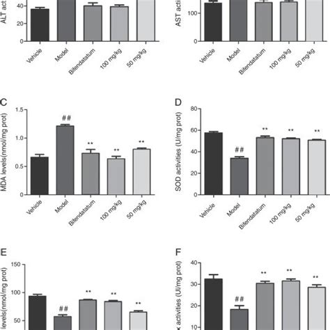 Effects Of Oral Pretreatment With Aeo On Ccl Induced Hepatic Injury