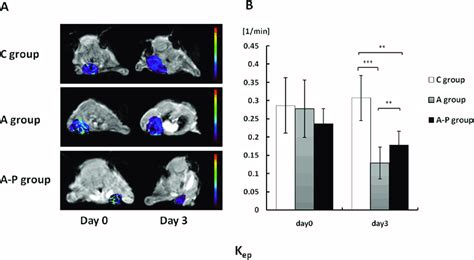 A Representative K Ep Parametric Maps Of Female Athymic Nude Mice