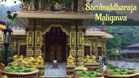 Sri Sambuddharaja Maligawa Mahamevnawa Monastery Polgahawela Youtube