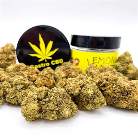 Preparat Medycyny Naturalnej Gastrocbd Susz Konopny Cbd Lemon Haze