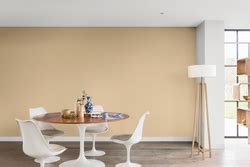 Mushroom Cap Yy Wall Paint Warm Neutral Colour Palette For