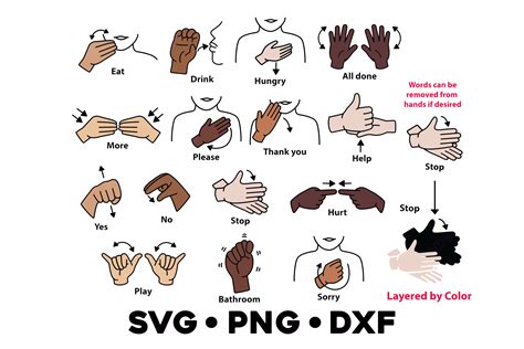 Sign Language Words More