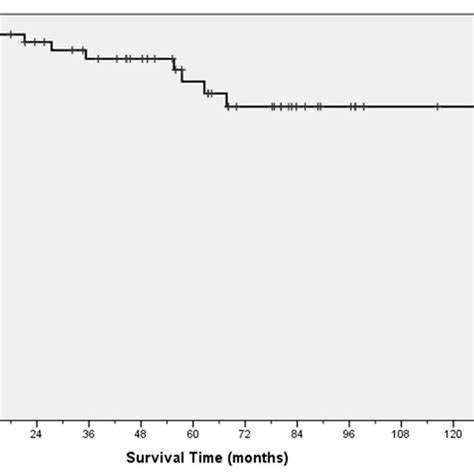 Kaplan Mayer Analysis Of Overall Survival Os Of The 50 Patients