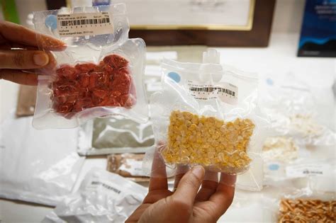 What Should Astronauts Eat On The Way To Mars?