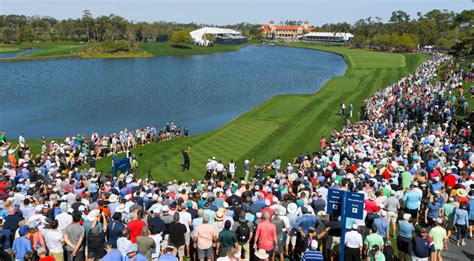 Stadium Tpc Sawgrass Jacksonville Florida Golf Course Information And Reviews