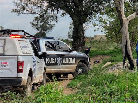 Esto Fue Lo Que Encontraron En La Colonia Potreros De El Sauz Guardia