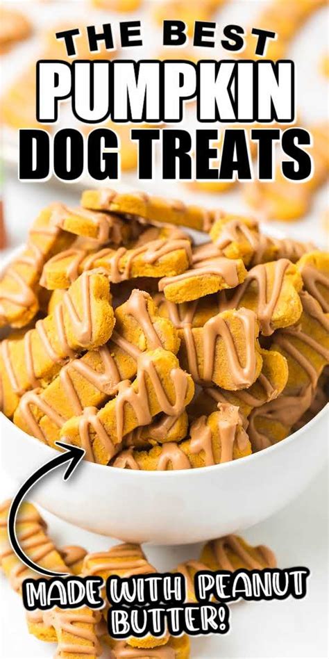 Pumpkin Dog Treats - The Best Blog Recipes