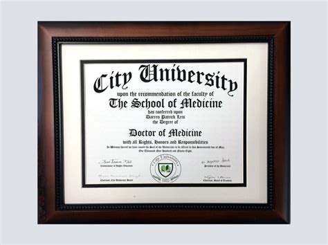 Diploma - Doctor of Medicine - A-1 Medical Integration