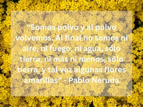 100 Frases Cortas Y Llenas De Amor Sobre Flores Amarillas En México