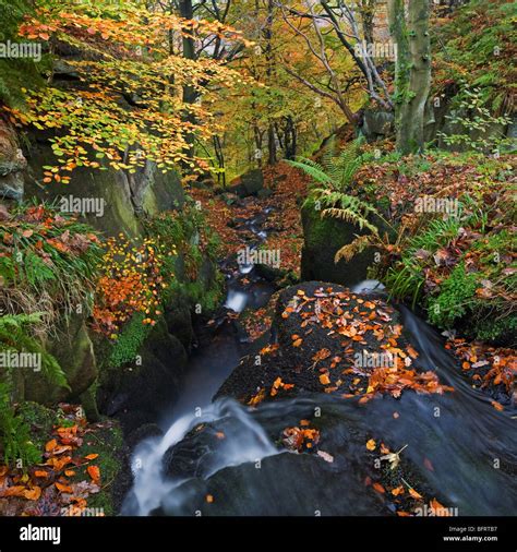 Fallen Autumn leaves and Waterfall in woodland scenery at Hardcastle ...