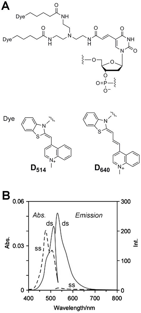 Structure And Photophysical Properties Of Echo Probes A Molecular